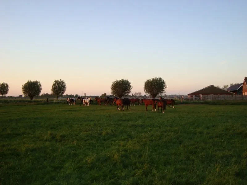 CK Luttenberg