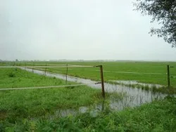 Door hevige regenval de paarden tijdelijk op stal!