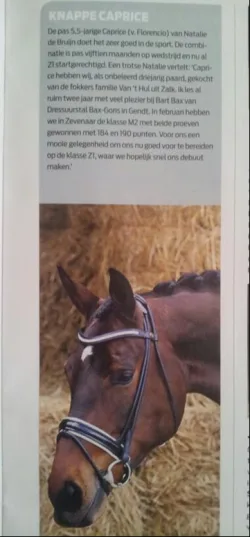 fokproduct succesvol onder Natalie de Bruijn: knappe Caprice